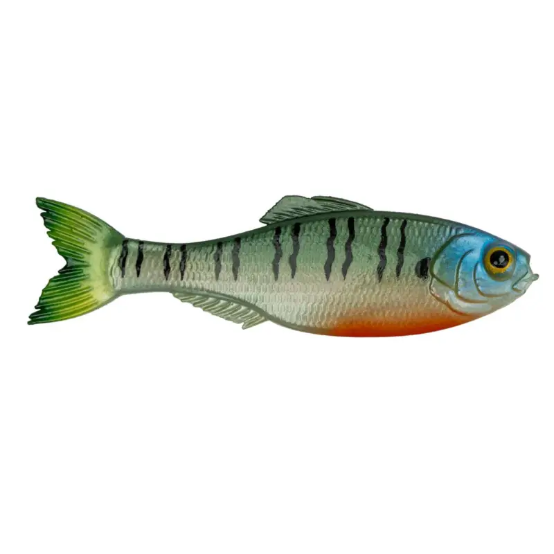 6th Sense Panorama 5 4K Bluegill Latest