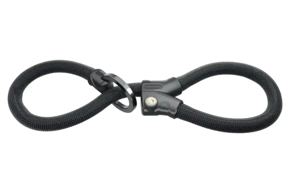 Same Day Shipping Abus Infinity Loop Lock
