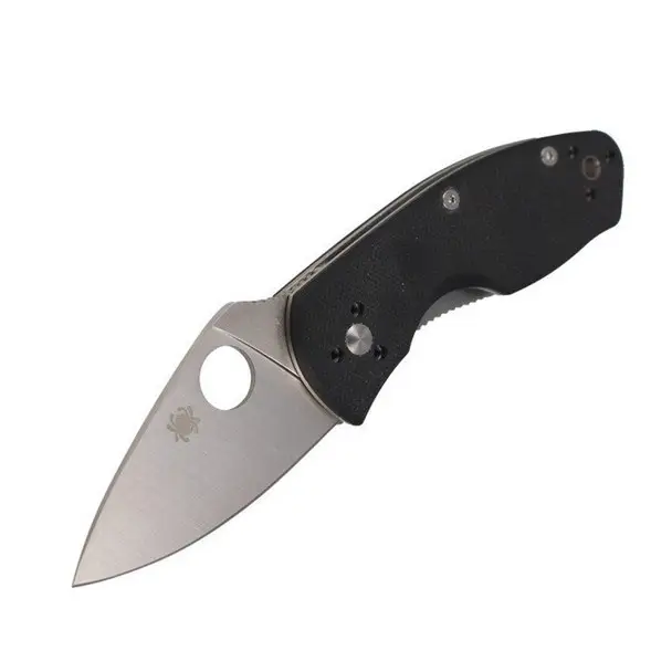 SPYDERCO 2.25in Ambitious Folding Knife (C148GP) Top Pick
